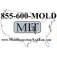 Mold Inspection & Testing Memphis image 4